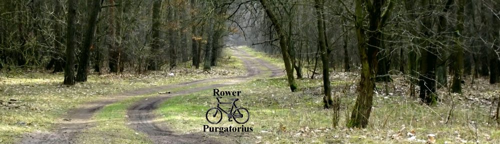 Rower Purgatorius